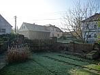 Třibřichy