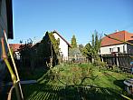 Třibřichy