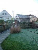 Třibřichy