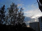 Borovina