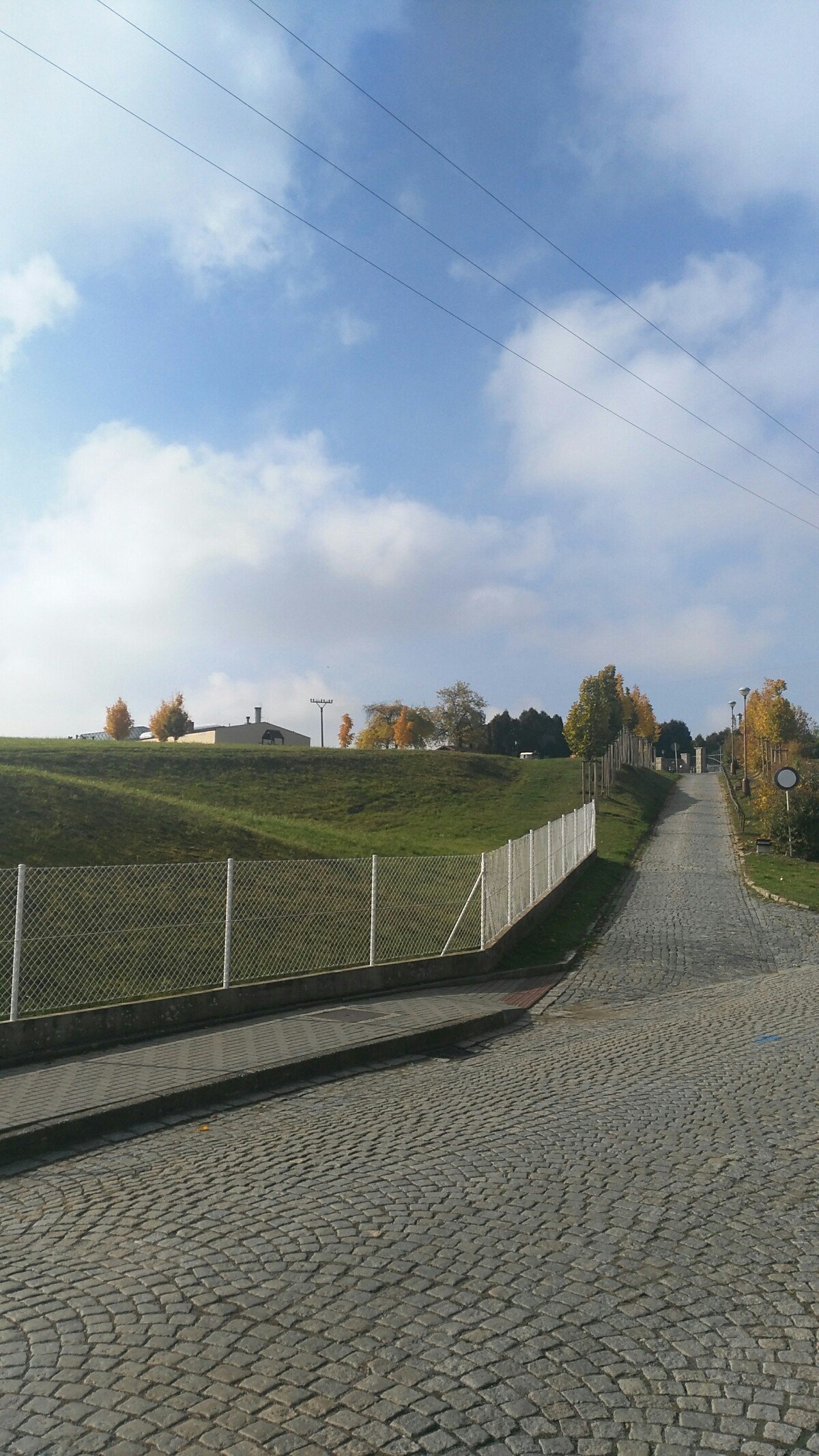 Kobeřice