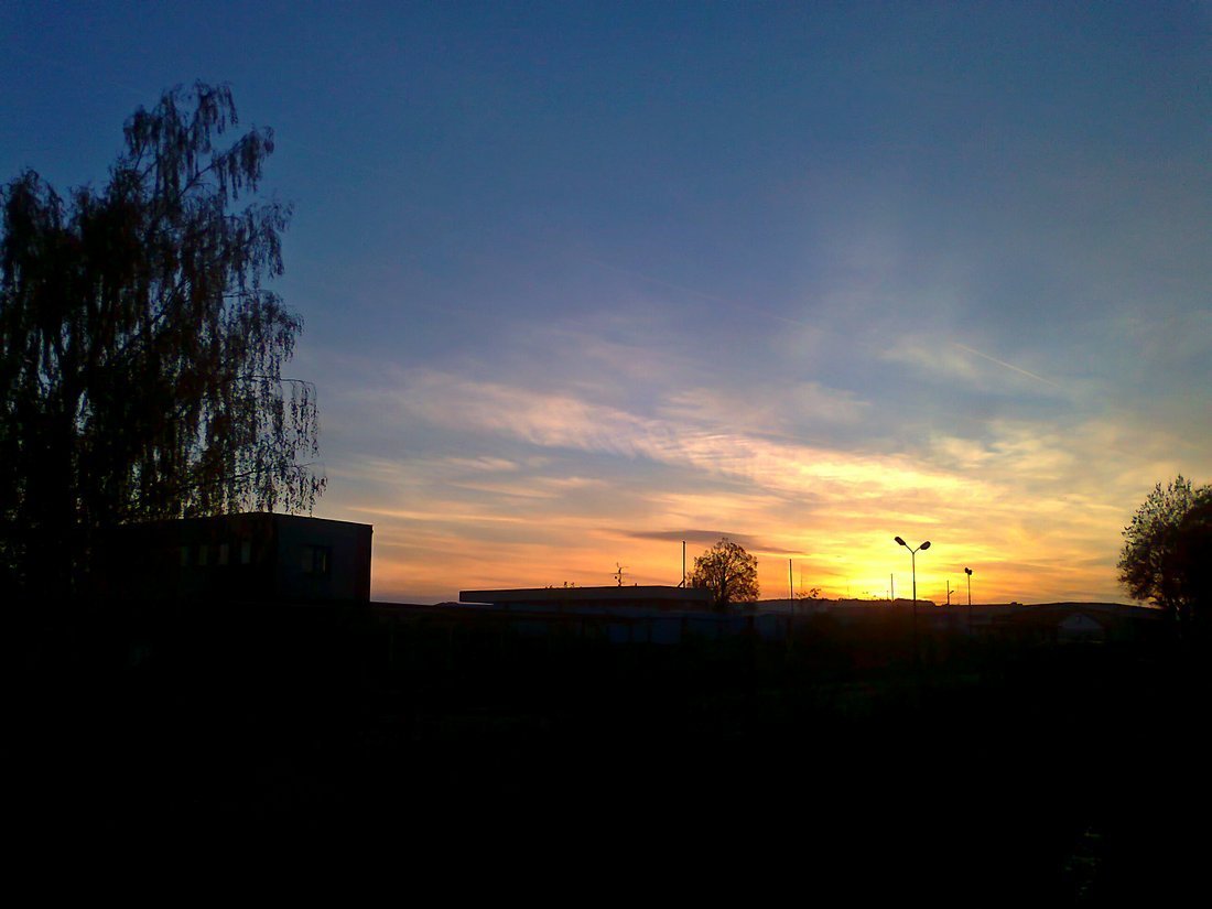 Borovina