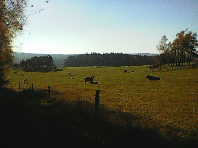 Mosty