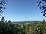 Vidov
