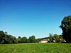Vidov