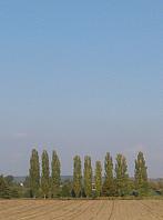 Dětenice