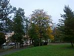 Borovina