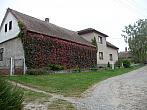 Třibřichy