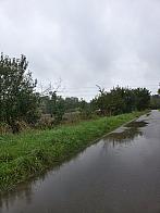 Vidov