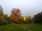 Borovina