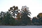 Tučapy