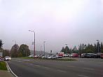 Borovina