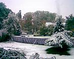 Štědrá