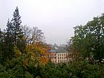 Borovina