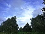 Vidov