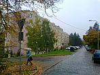 Borovina