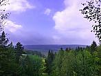 Vidov