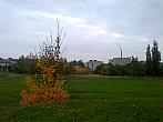 Borovina