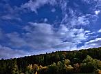 Vidov