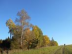 Vítkov