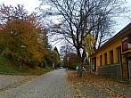 Borovina