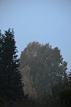 Tučapy