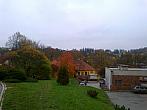 Borovina