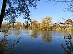 Borovina