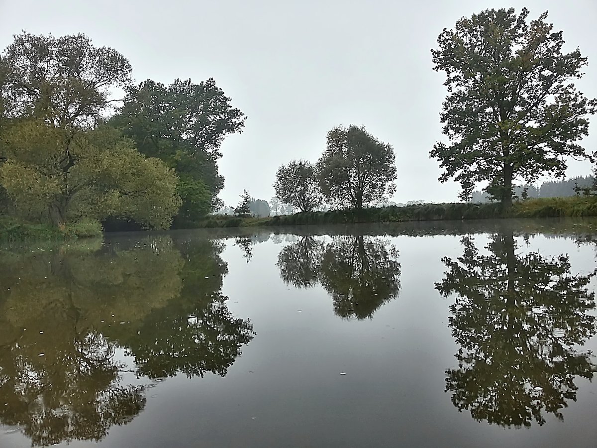 Vidov
