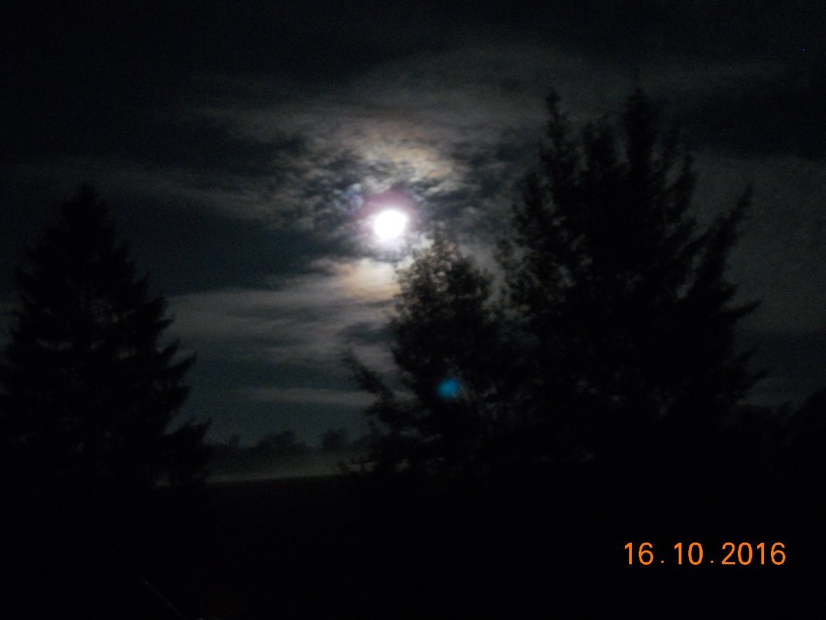 Luby
