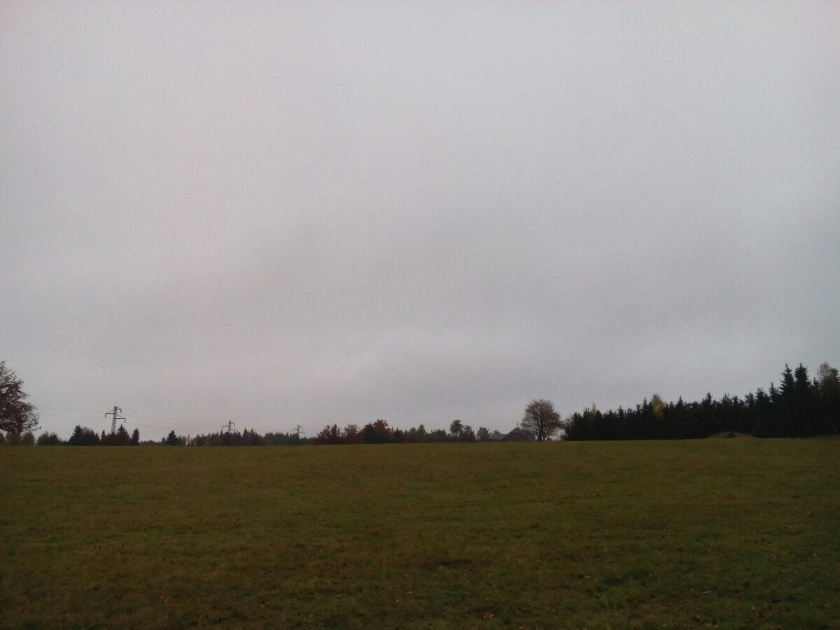 Lesná