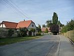 Třibřichy