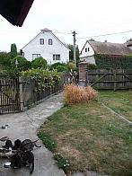 Třibřichy