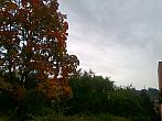 Borovina