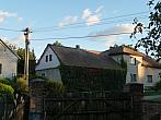 Třibřichy