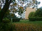 Borovina