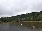 Vidov
