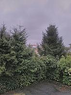 Sedlice