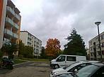 Borovina