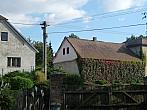 Třibřichy