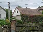 Třibřichy