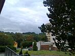 Borovina