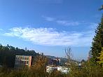 Borovina