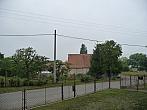 Třibřichy