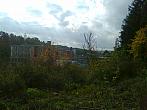 Borovina