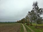 Vidov