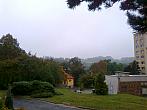 Borovina