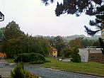 Borovina