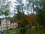Borovina