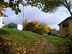 Borovina